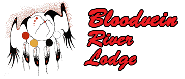 Bloodvein River Lodge